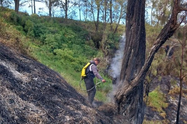 Hutan di Kawasan Gunung Bromo Kembali Terbakar